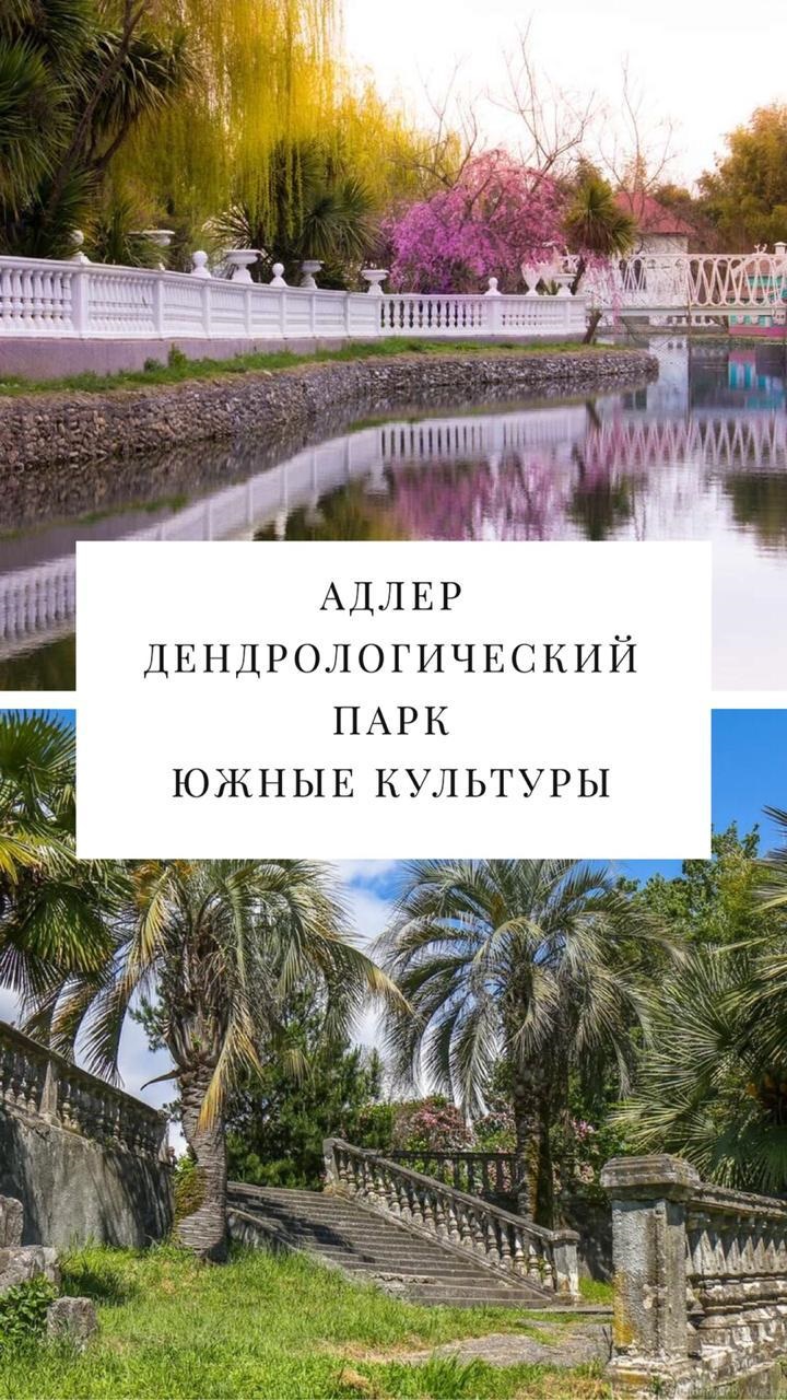 ДЕНДРОЛОГИЧЕСКИЙ ПАРК 